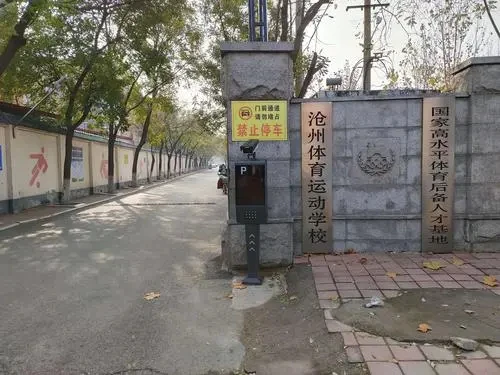 篮球协调训练的有效工具和设备推荐_1